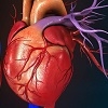 Keys to a Healthy Heart 