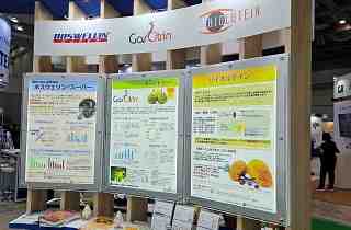 IFIA Japan Expo, 2023, May 17 - 19, 2023, Tokyo, Japan